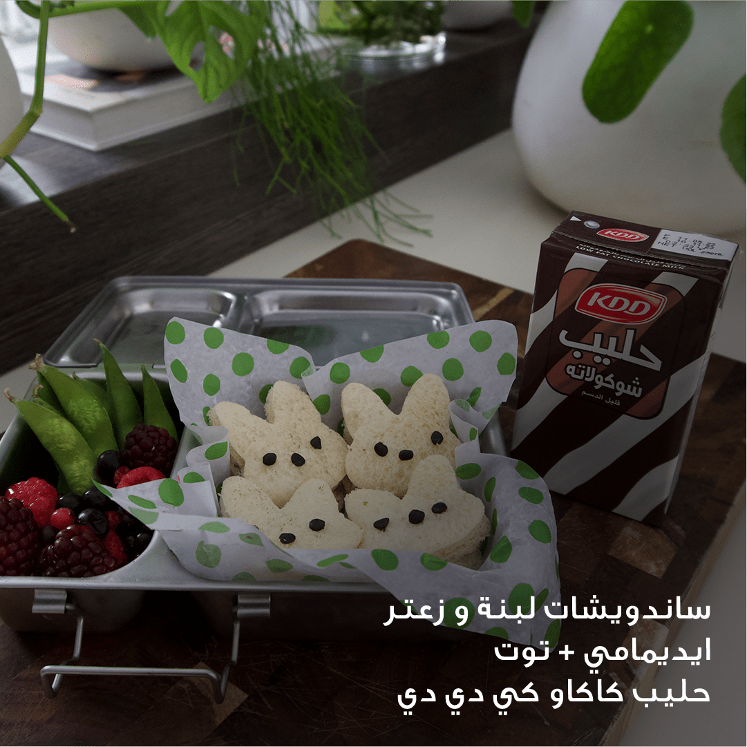 ساندويشات لبنة و زعتر